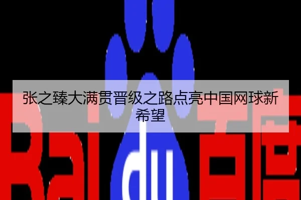 张之臻大满贯晋级之路点亮中国网球新希望